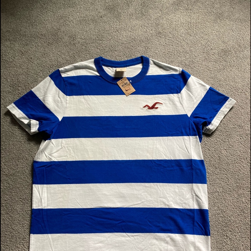 Hollister tee tee shirt.